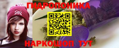 МДПВ Ливны